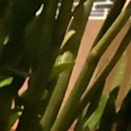 Aroldo Joa Bermudez Guaita